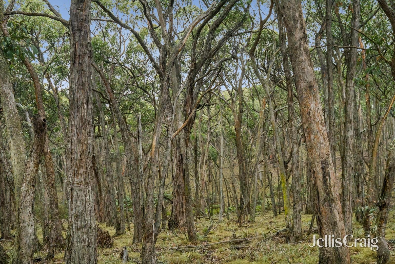 Lot 1 Skirkas Road, Buninyong image 15