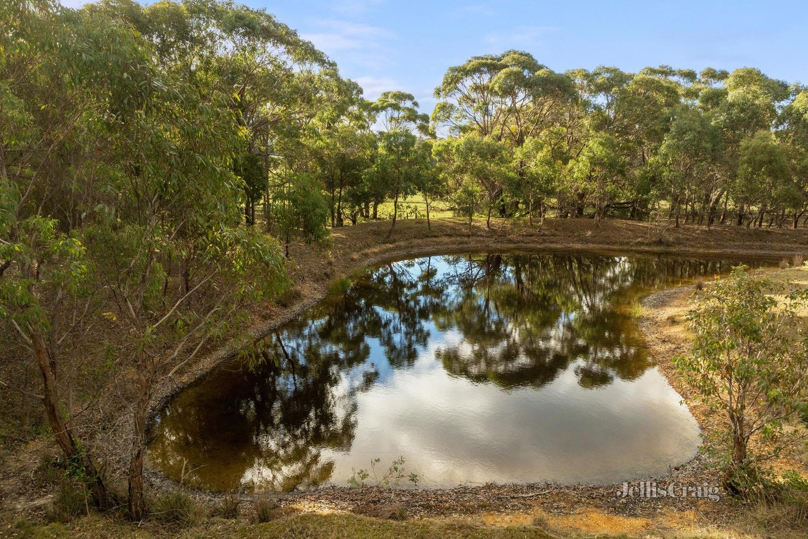 Lot 104/55 Acacia Road, Dereel image 6