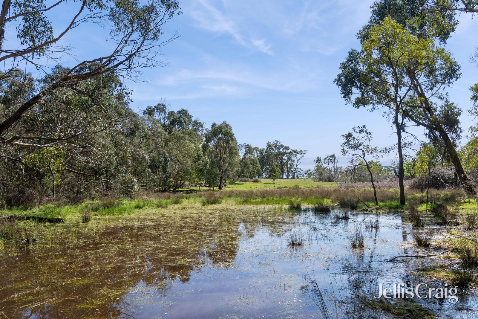Lot 11 Blackfellows Lane, Snake&nbsp;Valley image 3