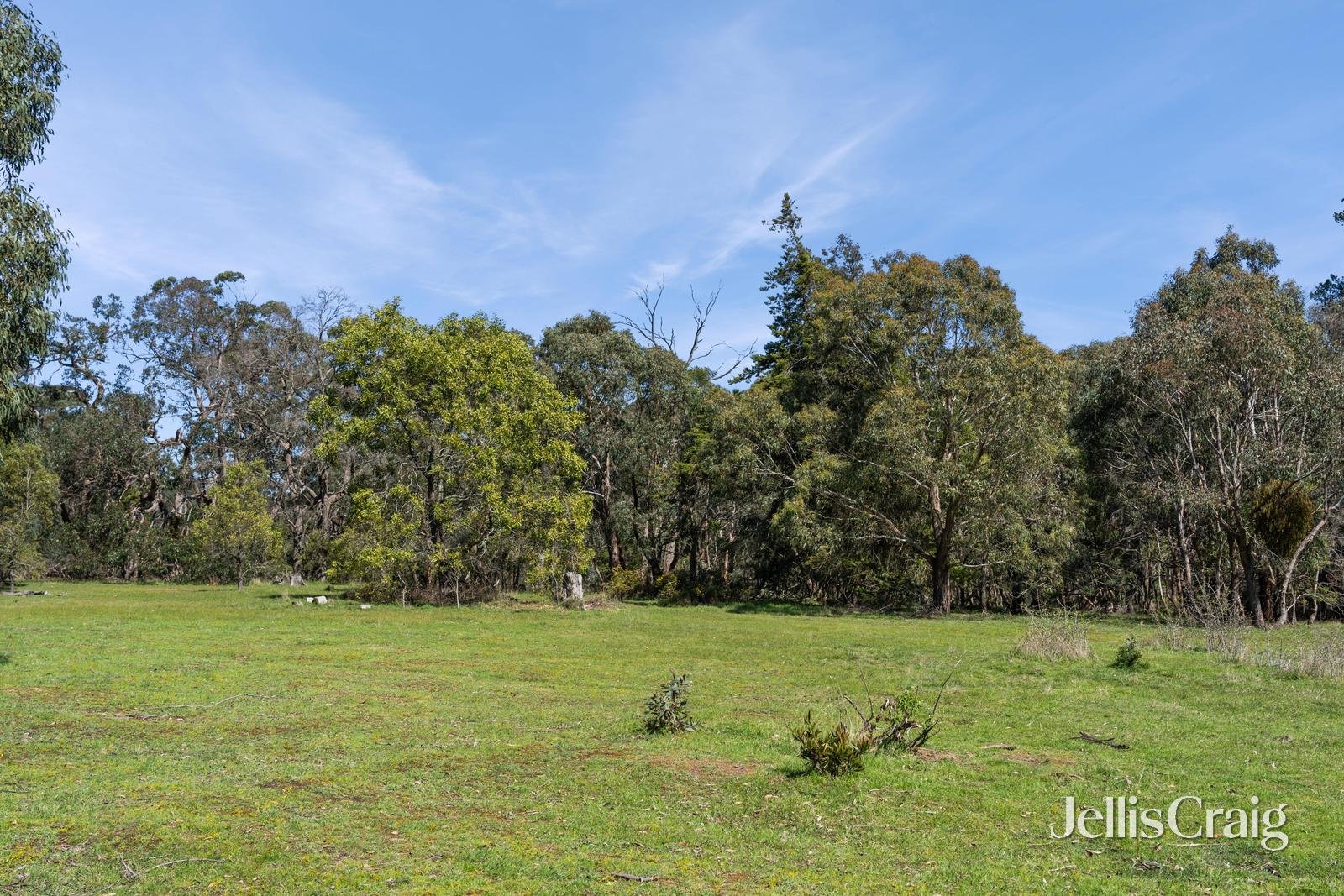 Lot 11 Blackfellows Lane, Snake&nbsp;Valley image 4