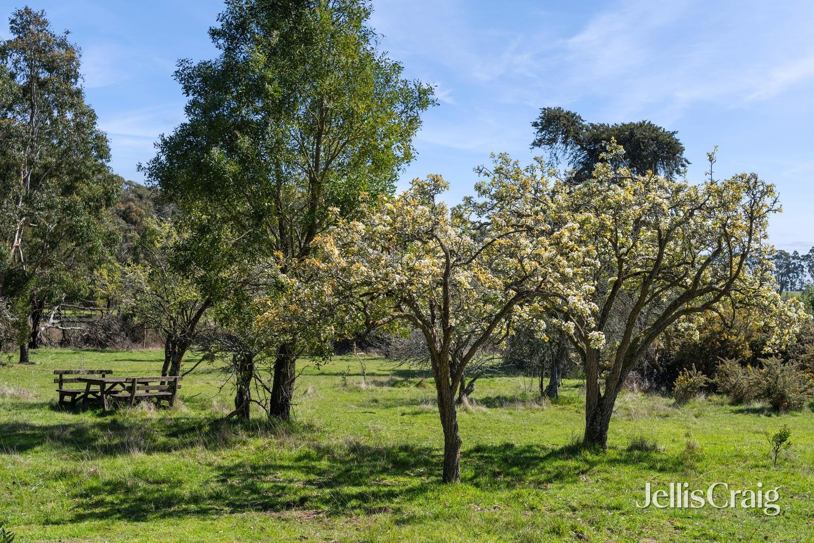 Lot 11 Blackfellows Lane, Snake&nbsp;Valley image 5