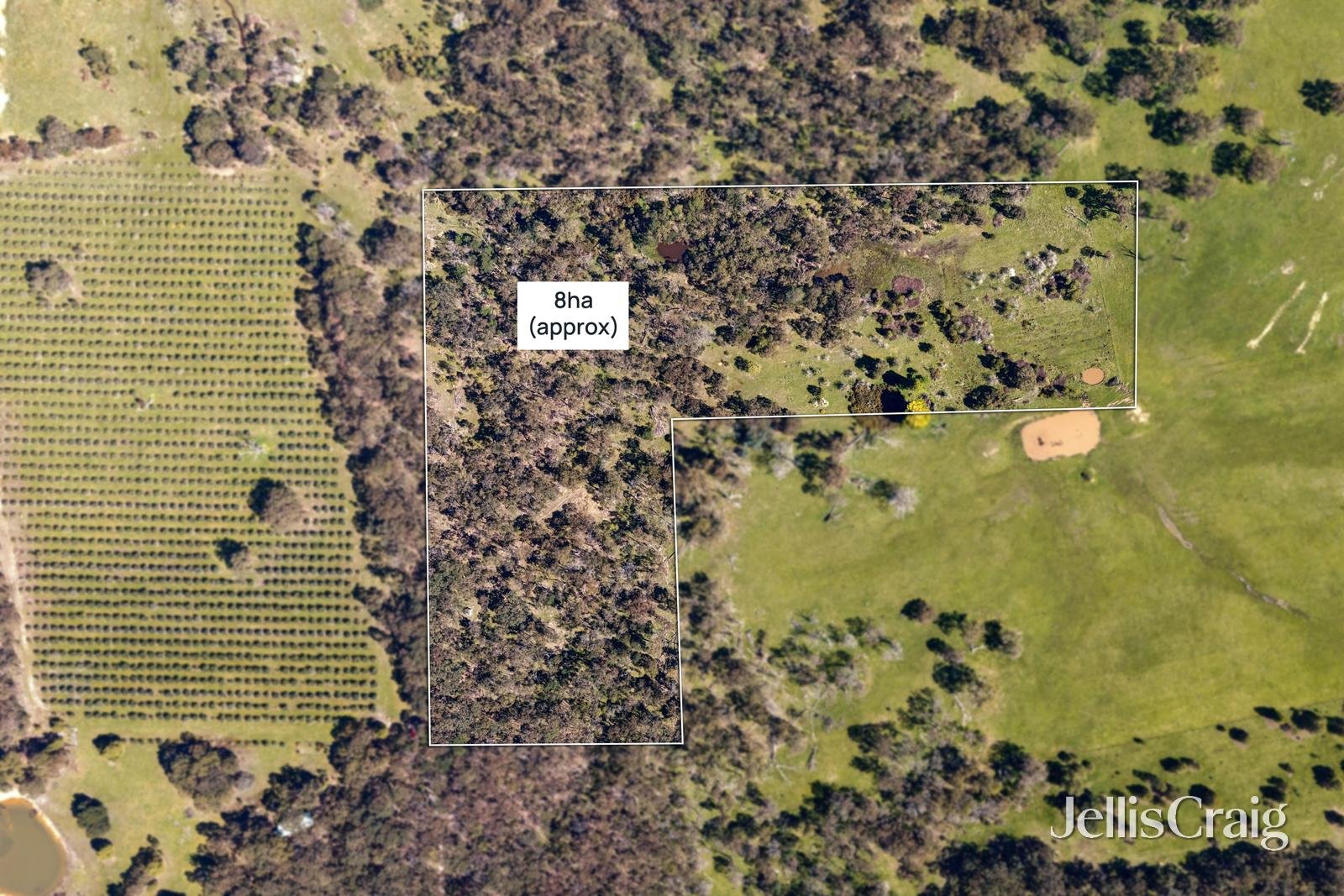 Lot 11 Blackfellows Lane, Snake&nbsp;Valley image 6