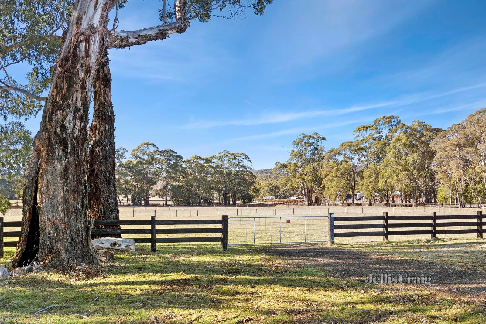 Lot 13, 24 Collins Road, Glenlyon image 3