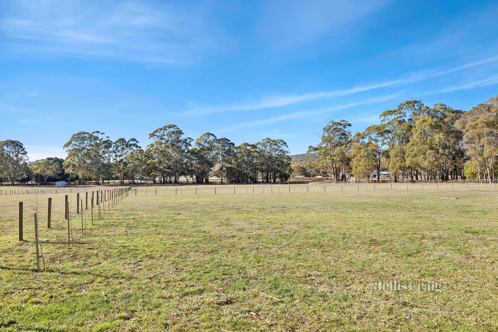 Lot 13, 24 Collins Road, Glenlyon image 4