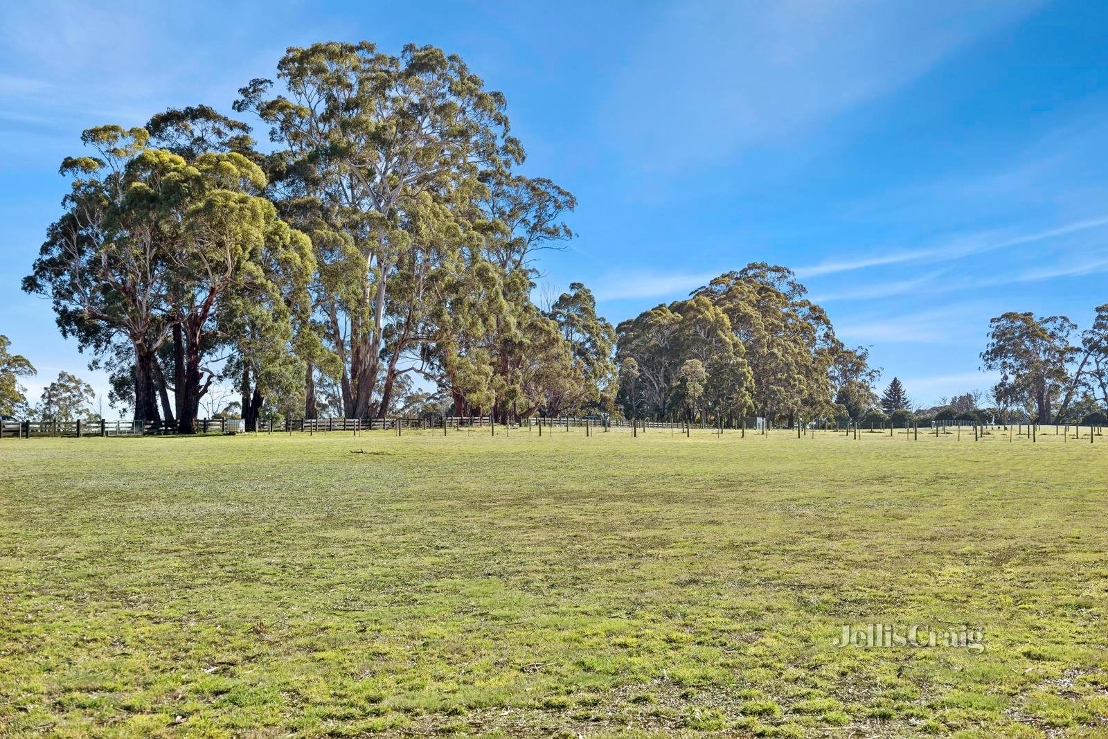 Lot 13, 24 Collins Road, Glenlyon image 5