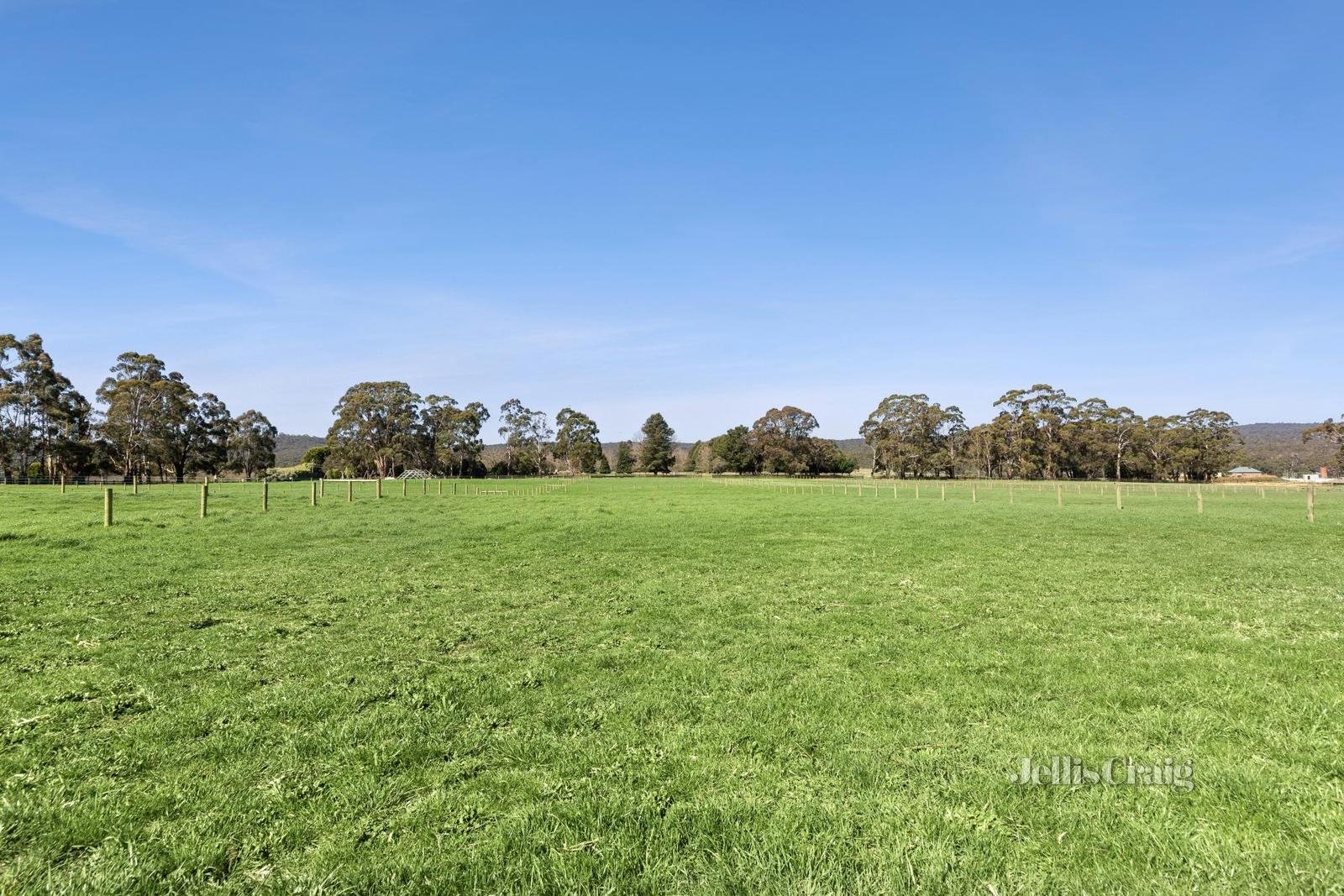 Lot 14, 24 Collins Road, Glenlyon image 4