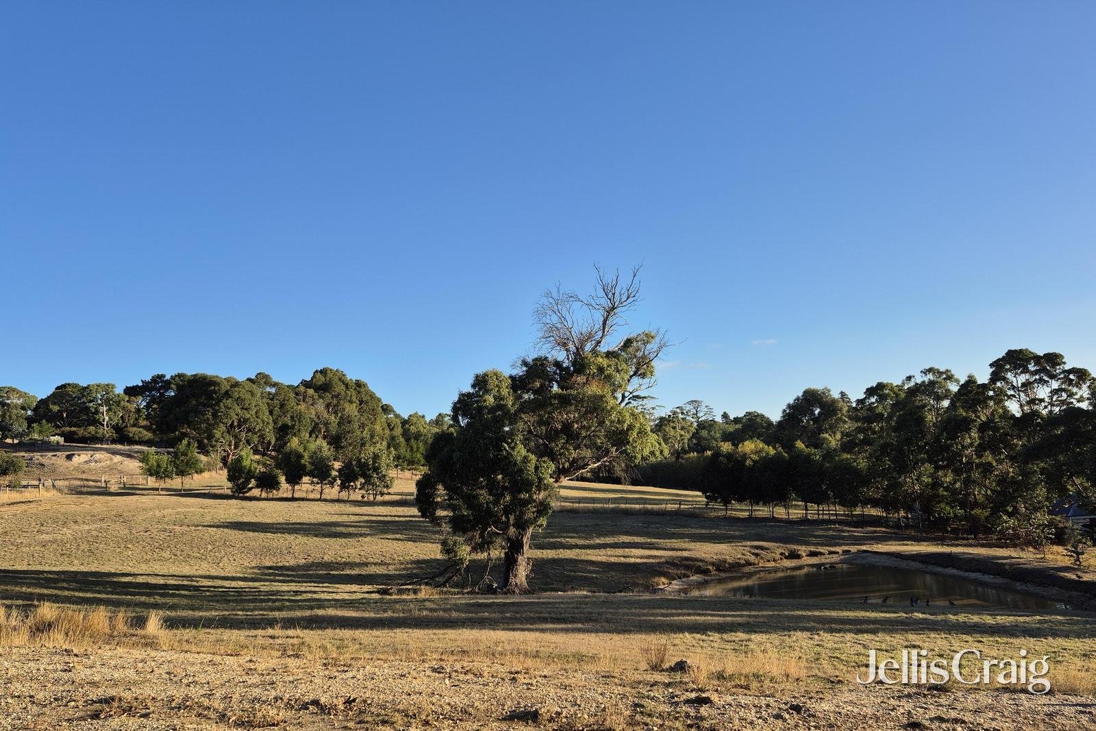 Lot 1/4 Blackberry Lane West, Buninyong image 6