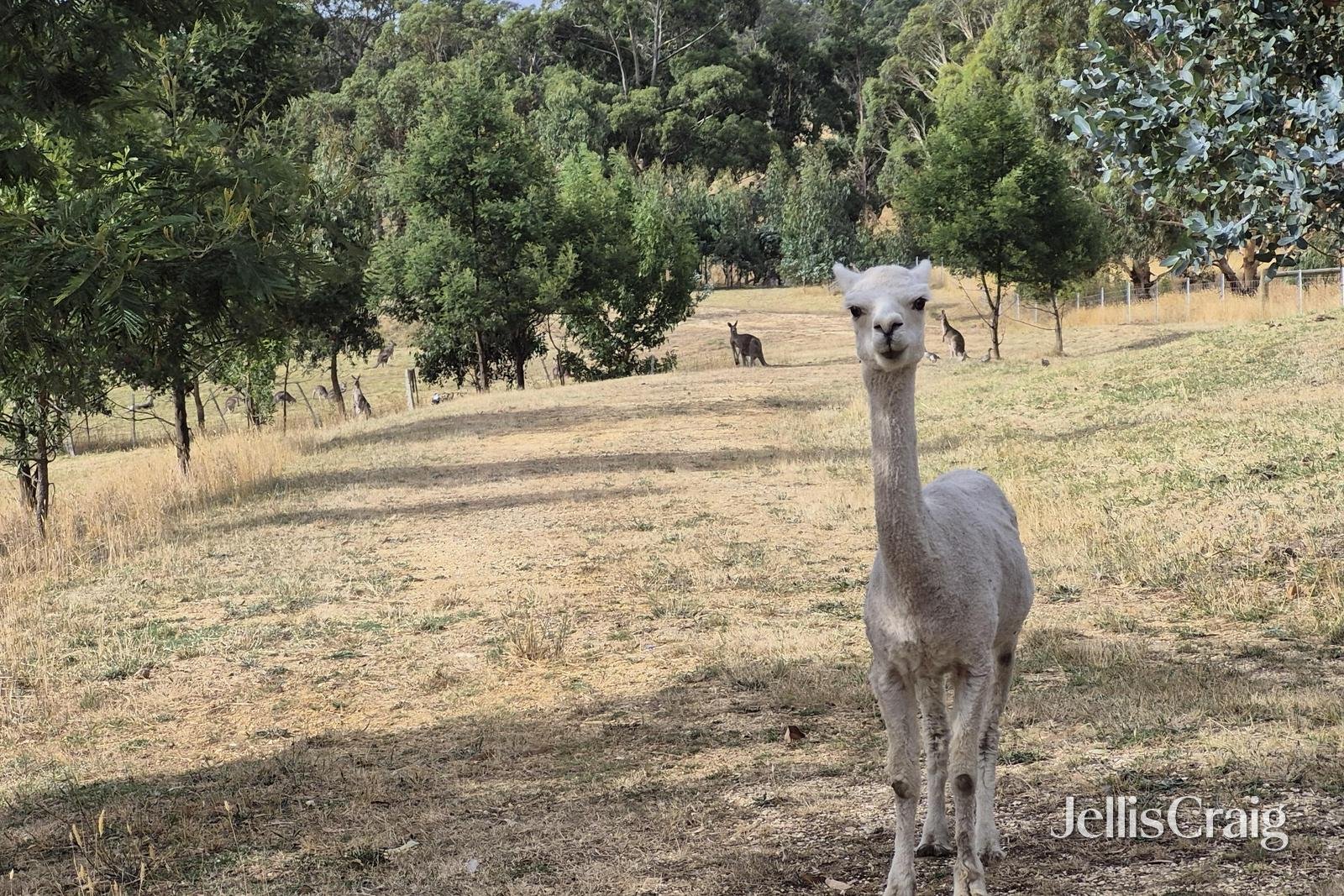 Lot 1/4 Blackberry Lane West, Buninyong image 8