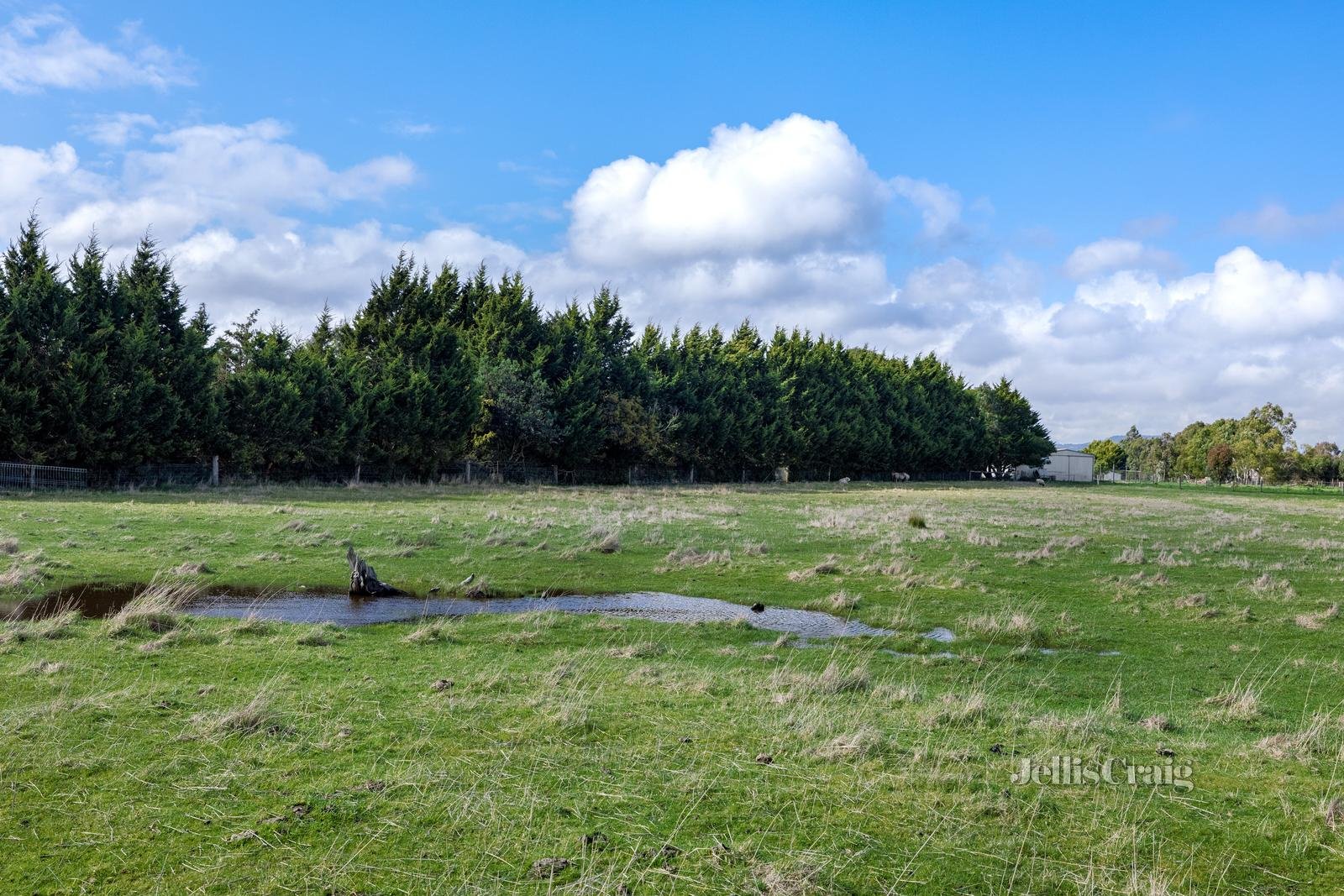 Lot 17 Sebastopol Smythesdale Road, Ross Creek image 3
