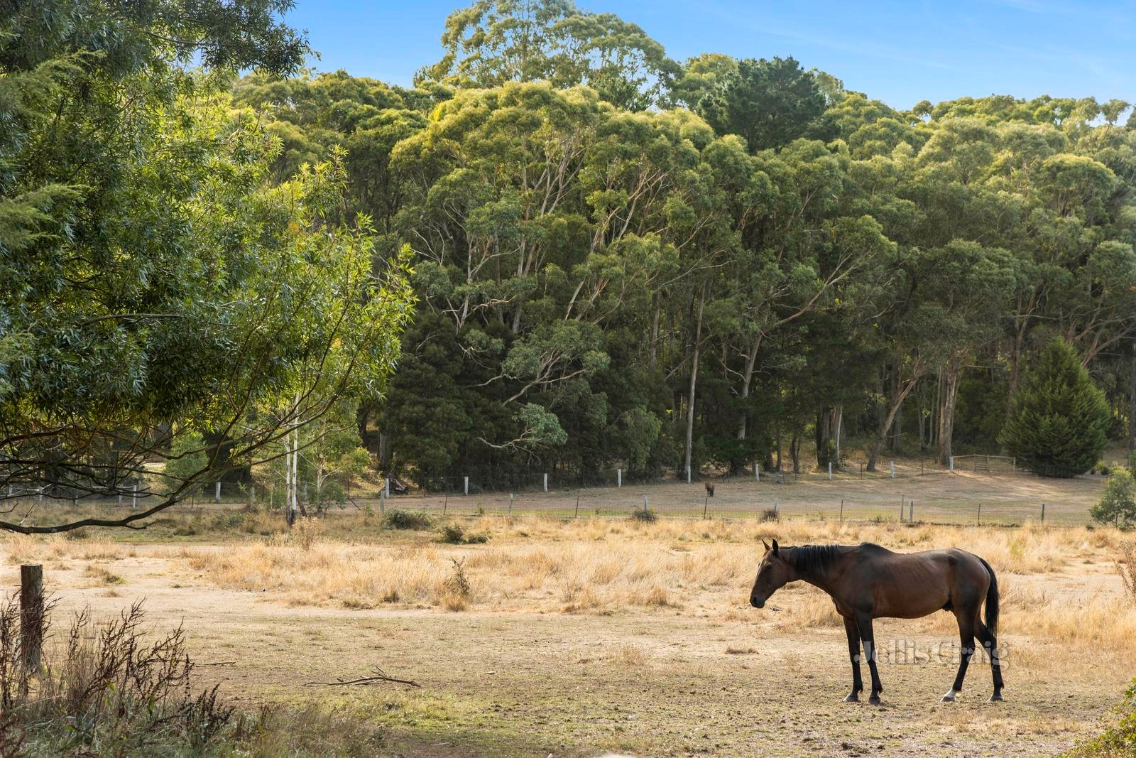 Lot 1A/9 Racecourse Road, Trentham image 6