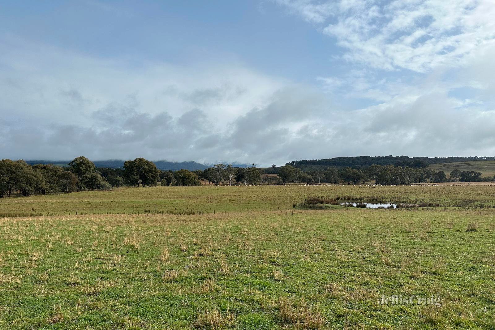 Lot 1Y Amphitheatre Road, Raglan image 3