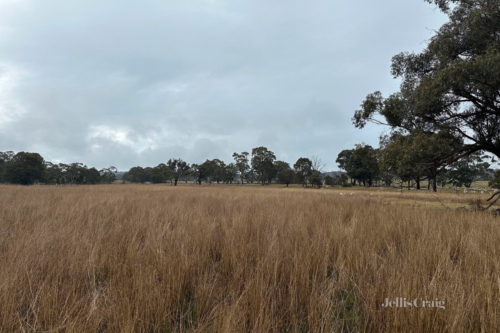 Lot 1Y Amphitheatre Road, Raglan image 5