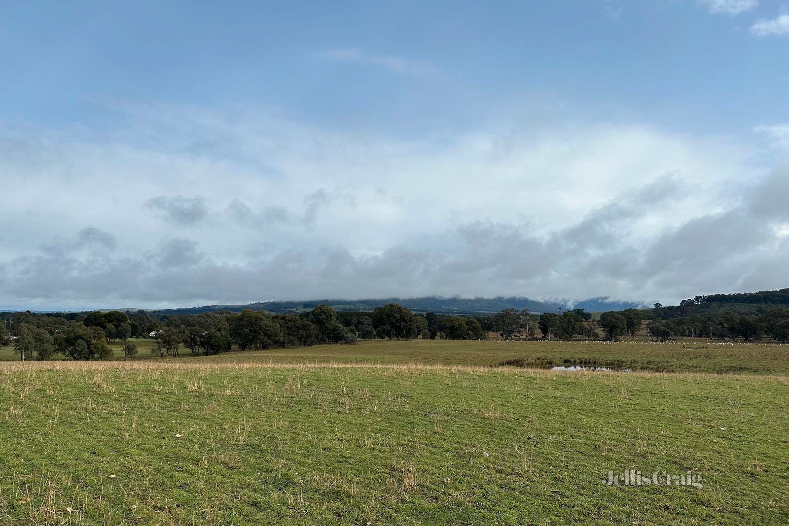 Lot 1Y Amphitheatre Road, Raglan image 6