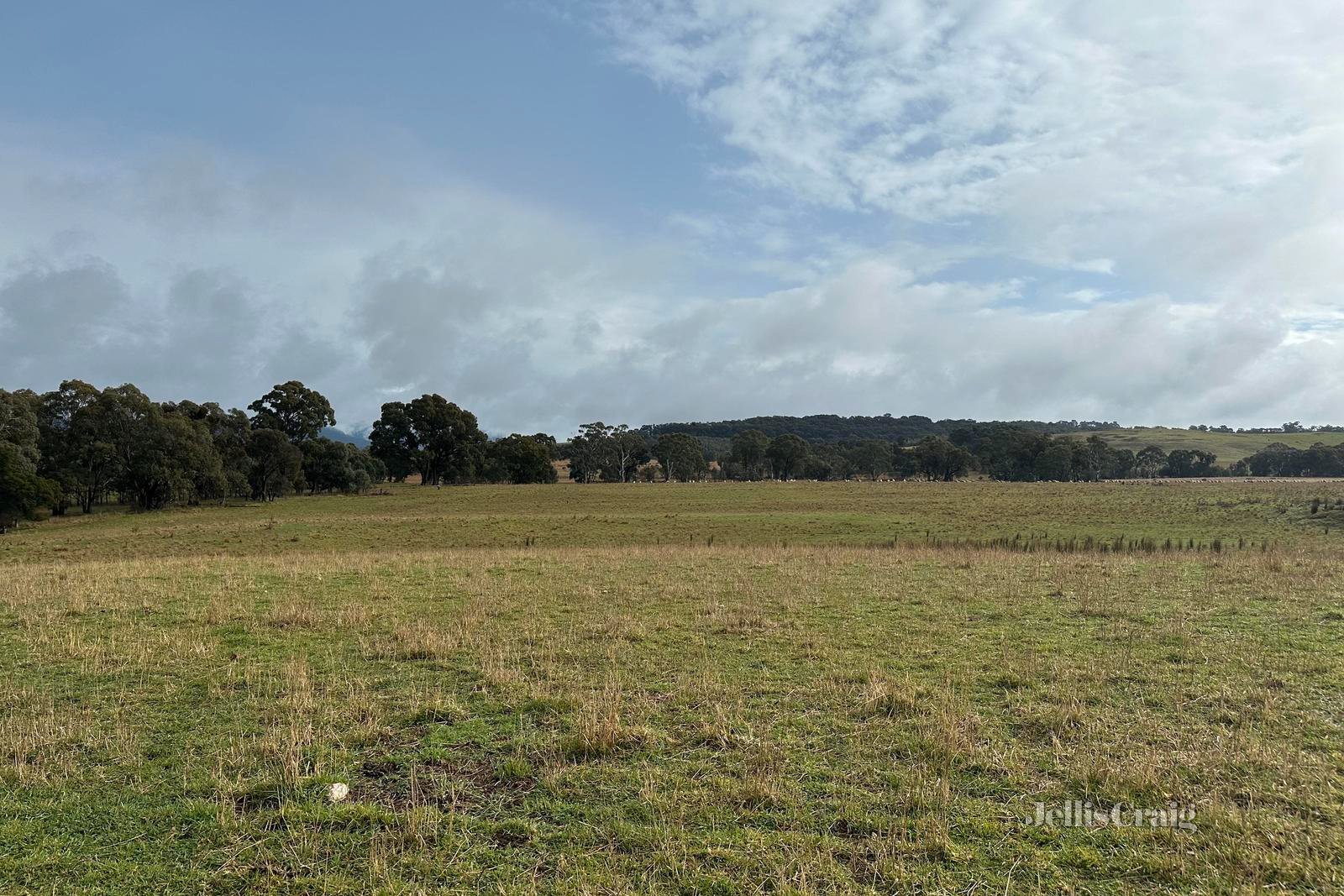 Lot 1Y Amphitheatre Road, Raglan image 7