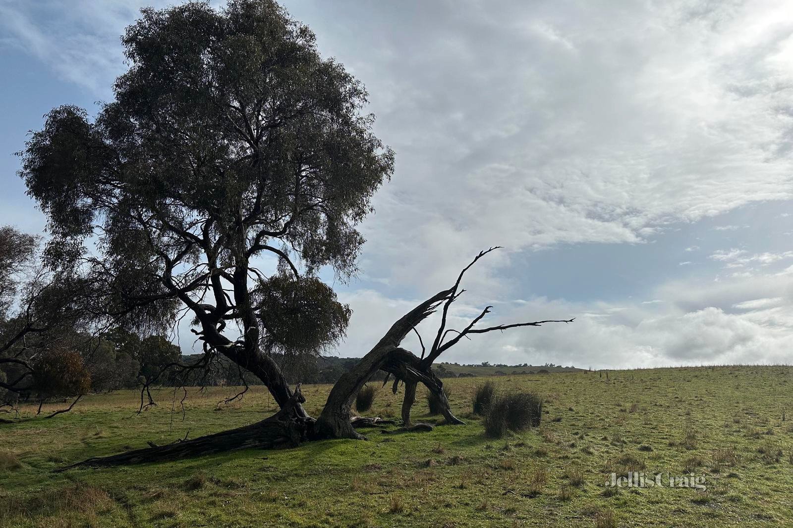Lot 1Y Amphitheatre Road, Raglan image 8