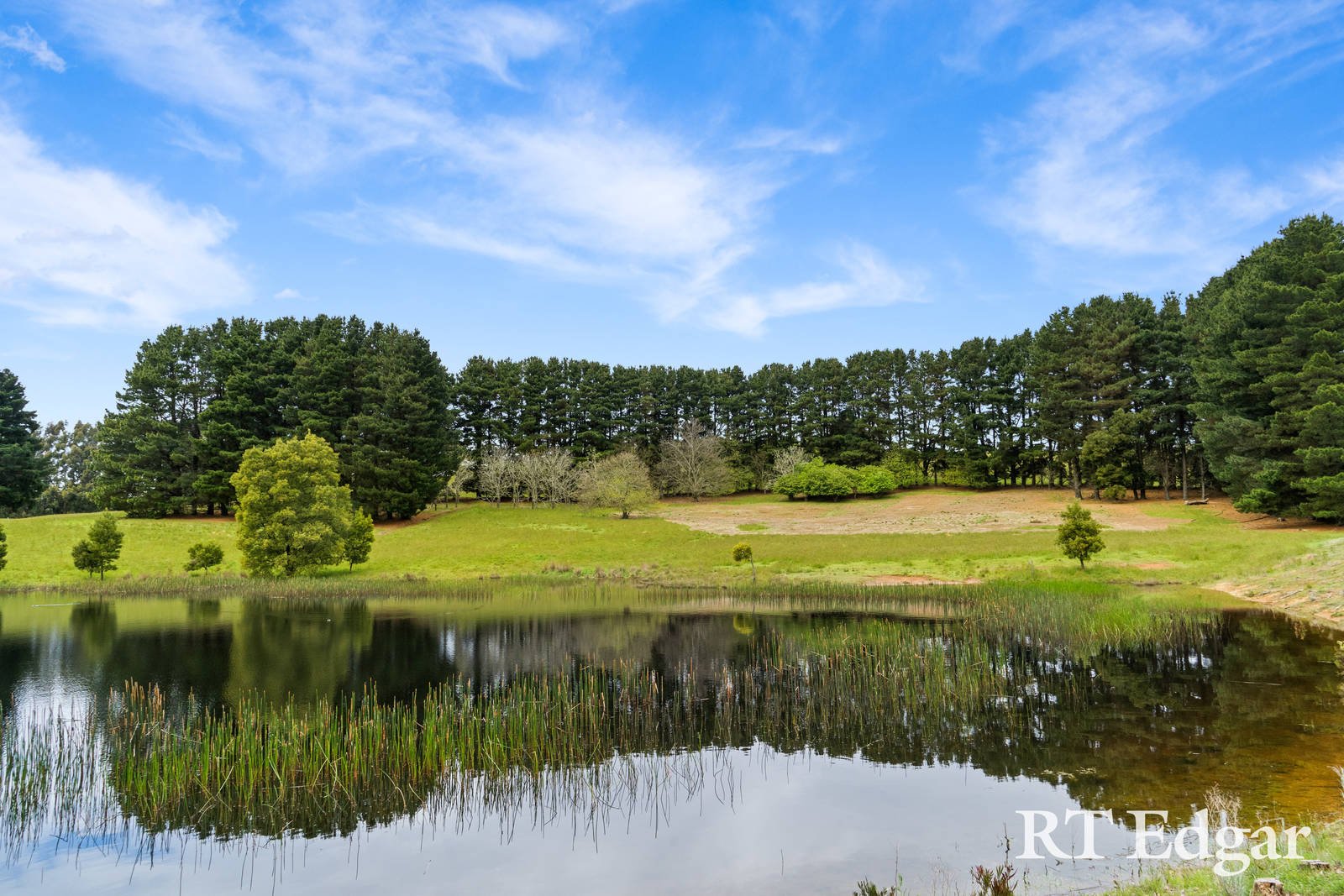 Property Gallery - Main Image
