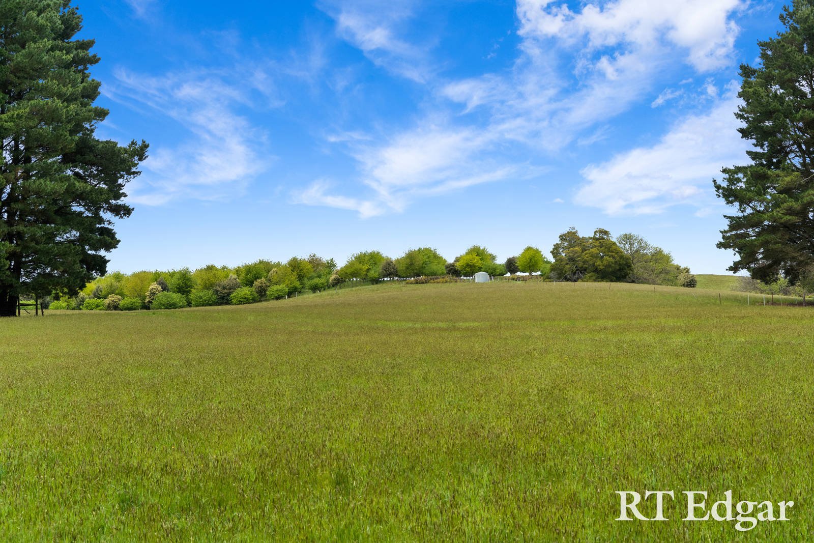 Property Gallery Thumbnail 5