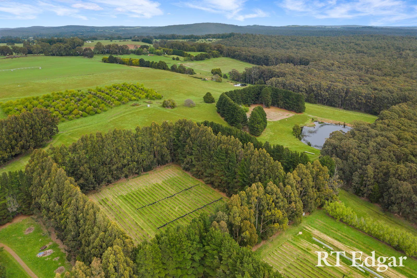 Property Gallery Thumbnail 11