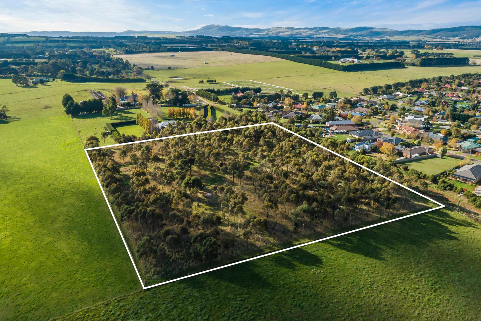 Property Gallery - Main Image