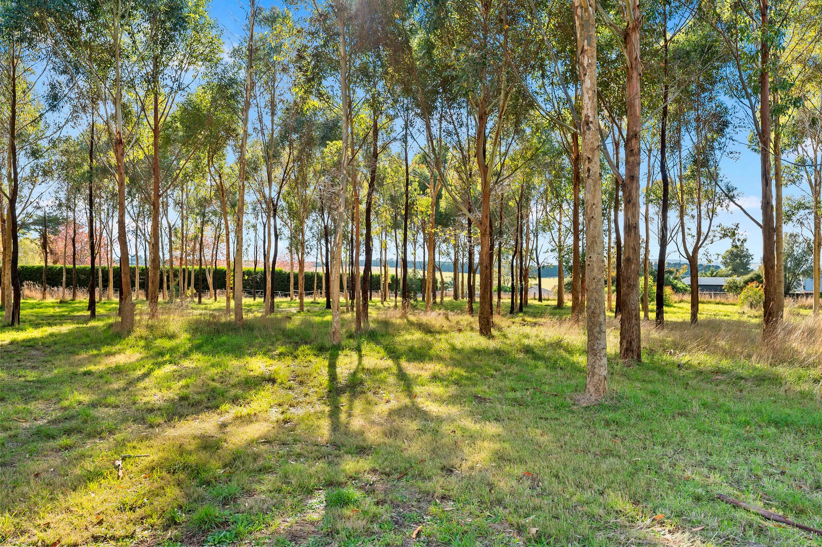 Property Gallery Thumbnail 5