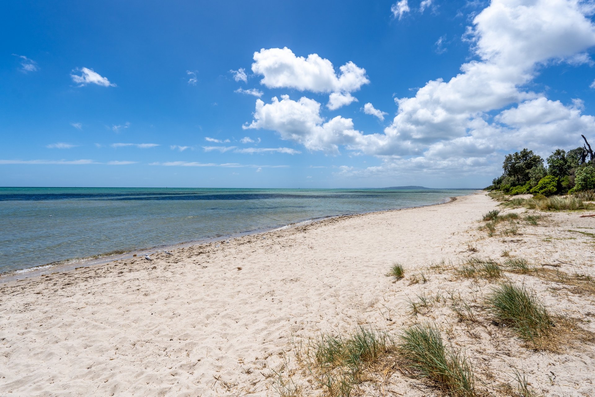 1781 Point Nepean Road CAPEL SOUND