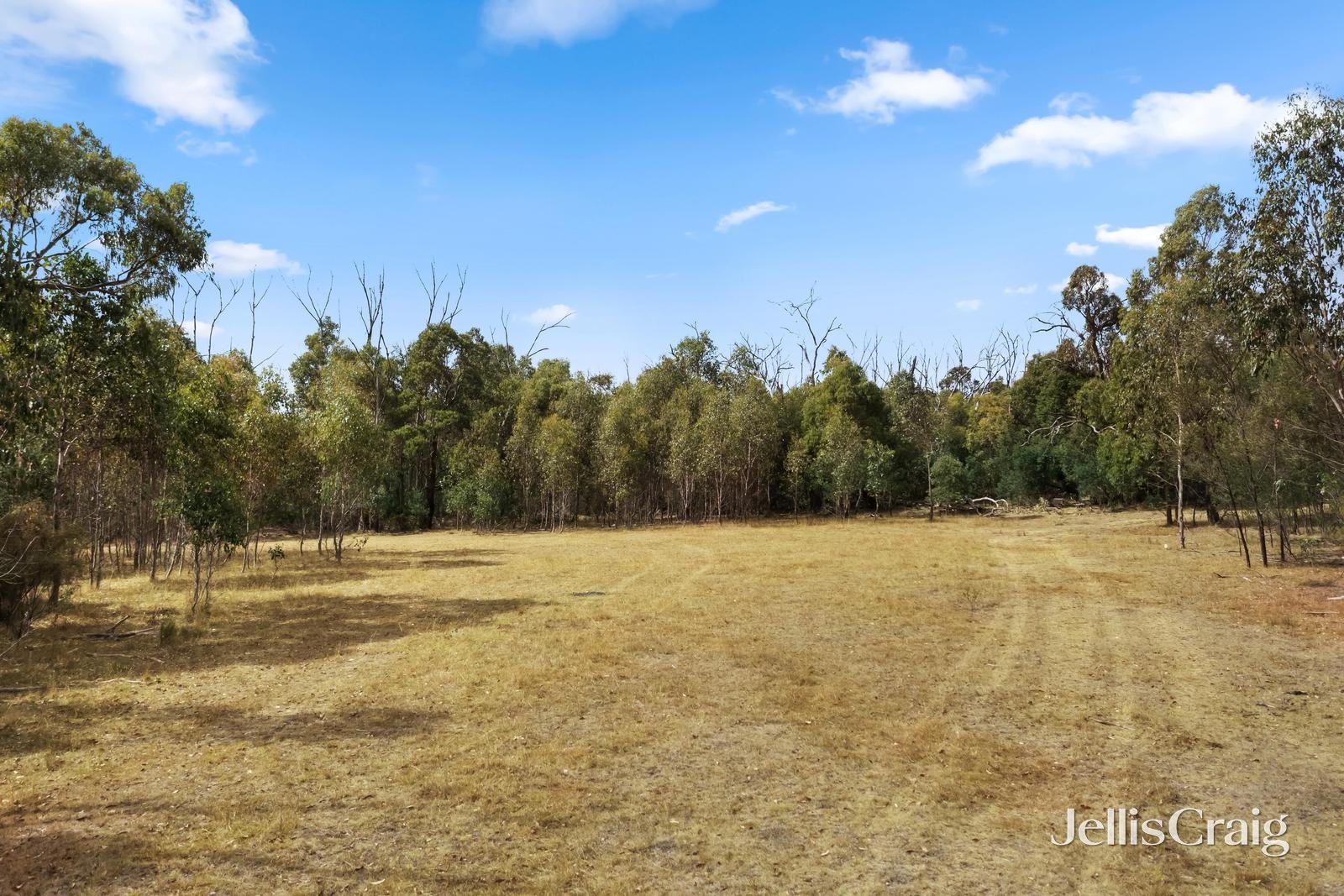 Lot 2 Fishers Road, Scotsburn image 3