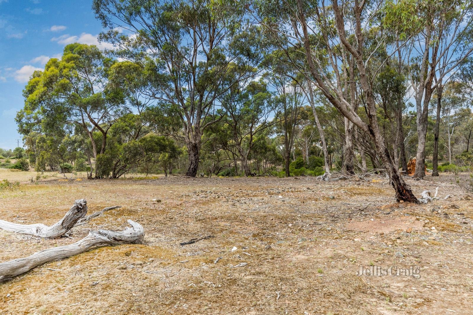 Lot 20 Treloars Lane, Maldon image 4