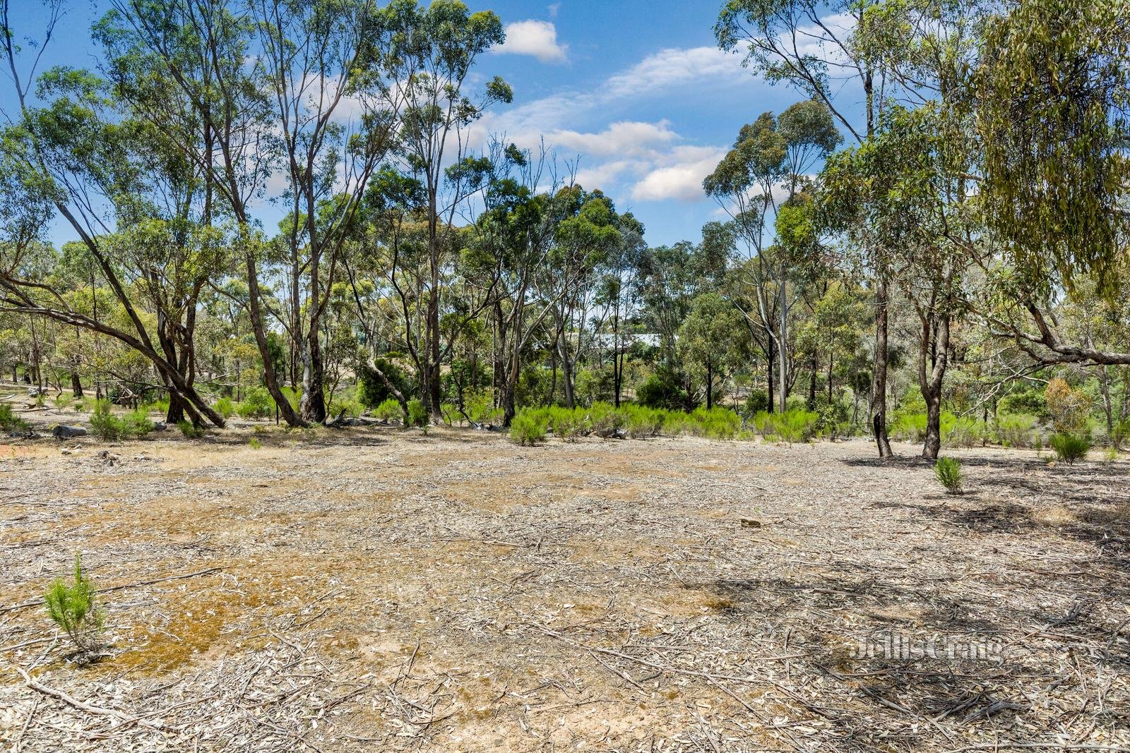 Lot 20 Treloars Lane, Maldon image 6