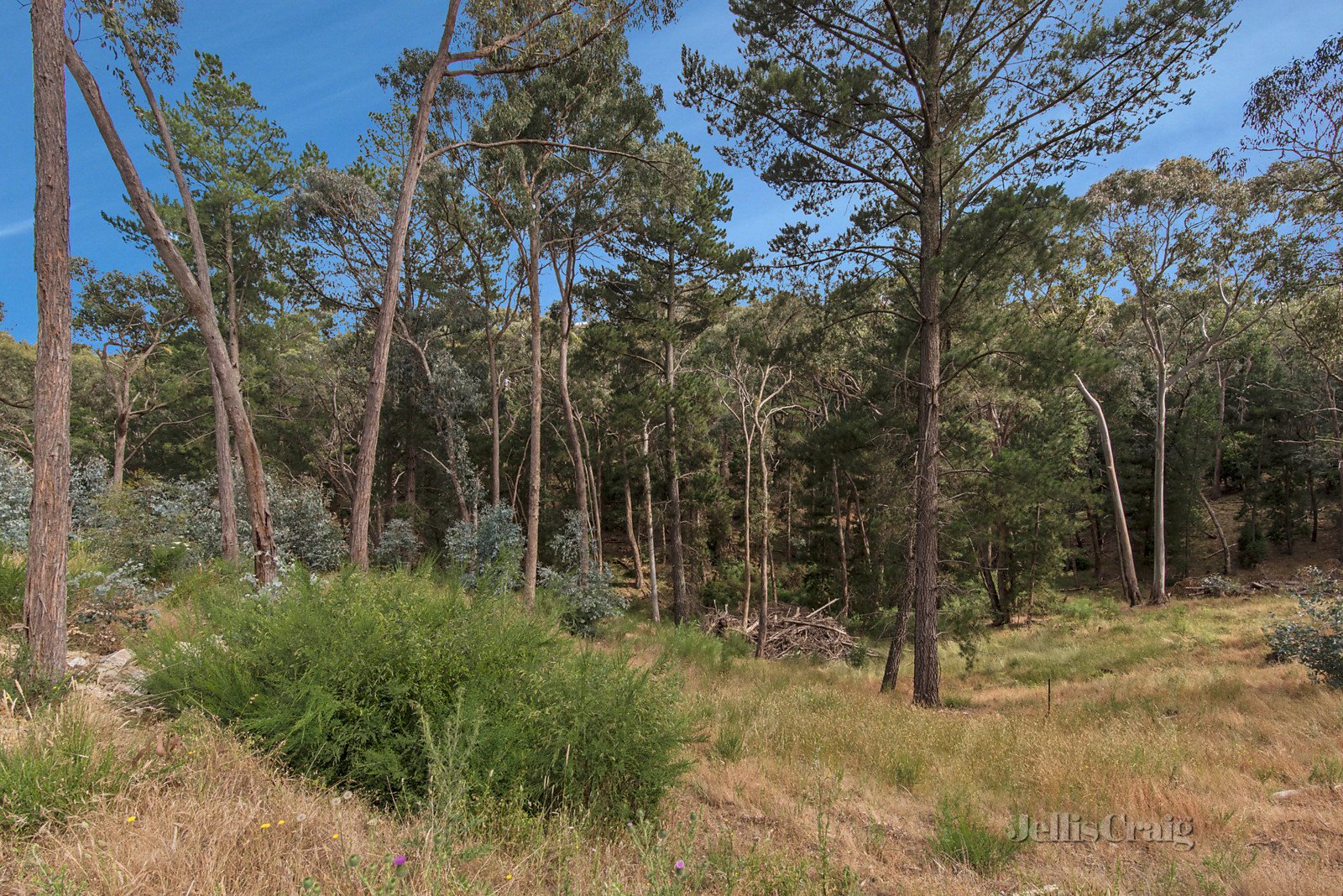 Lot 2/22  Forest Avenue, Hepburn Springs image 6