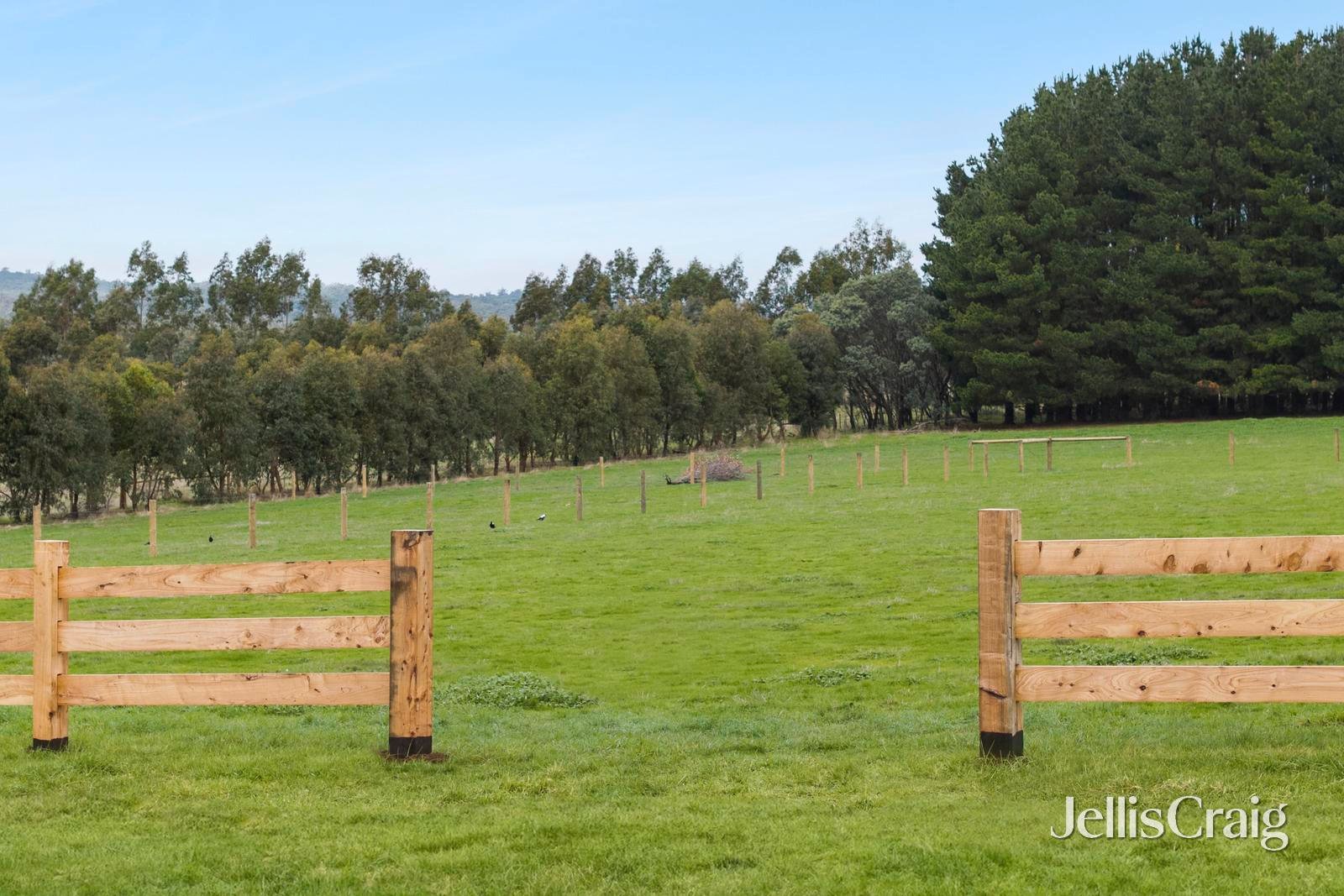 Lot 2/24 Collins Road, Glenlyon image 5