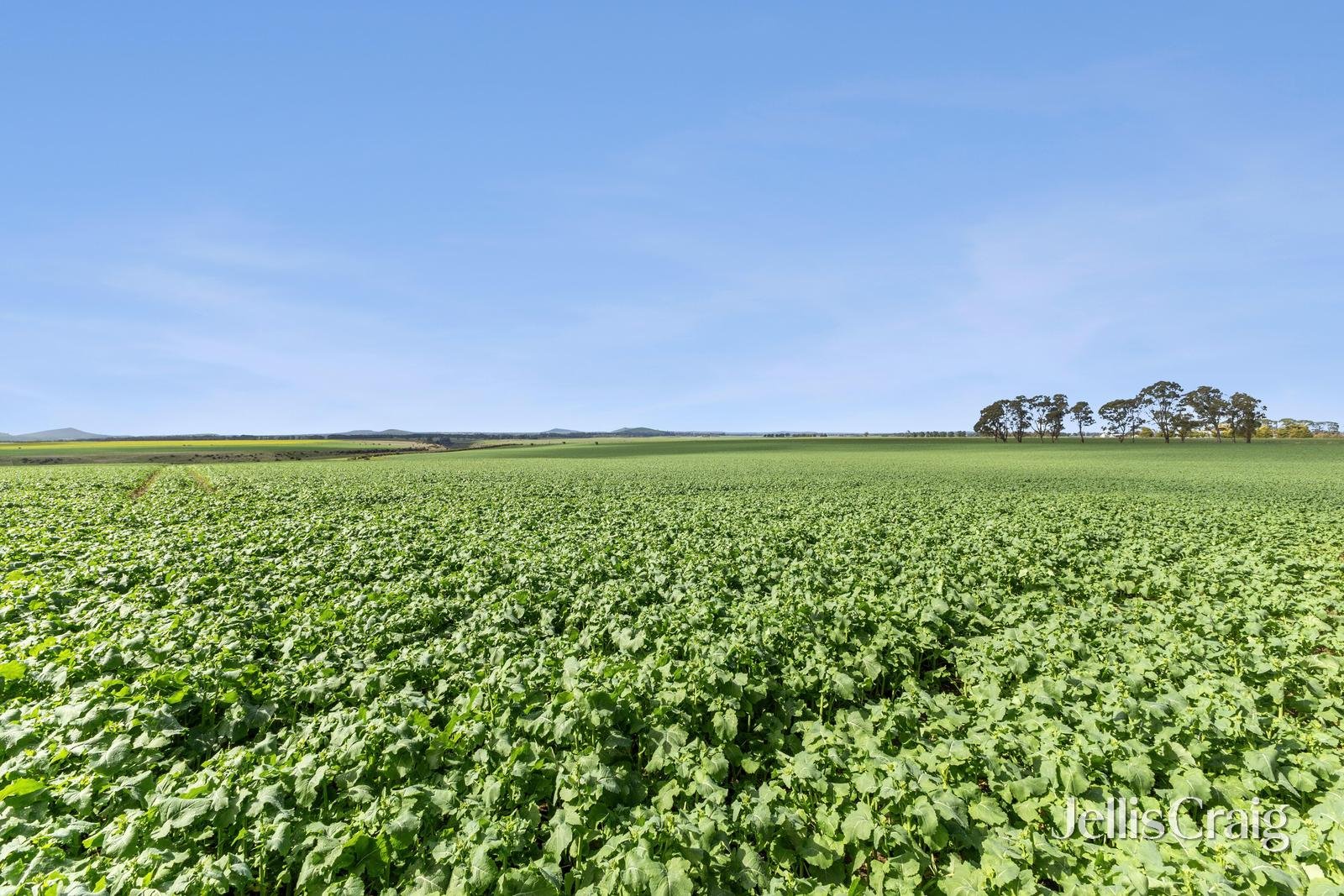 Lot 2/2970 Ballarat Maryborough Road, Clunes image 4
