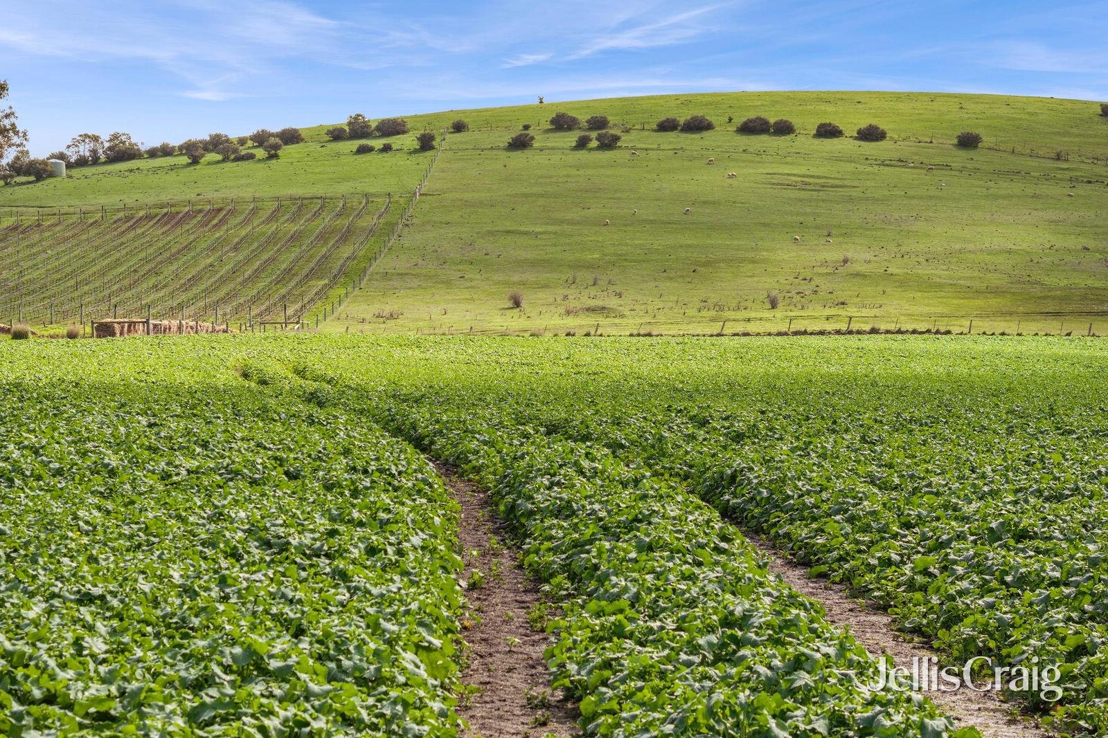 Lot 2/2970 Ballarat Maryborough Road, Clunes image 9