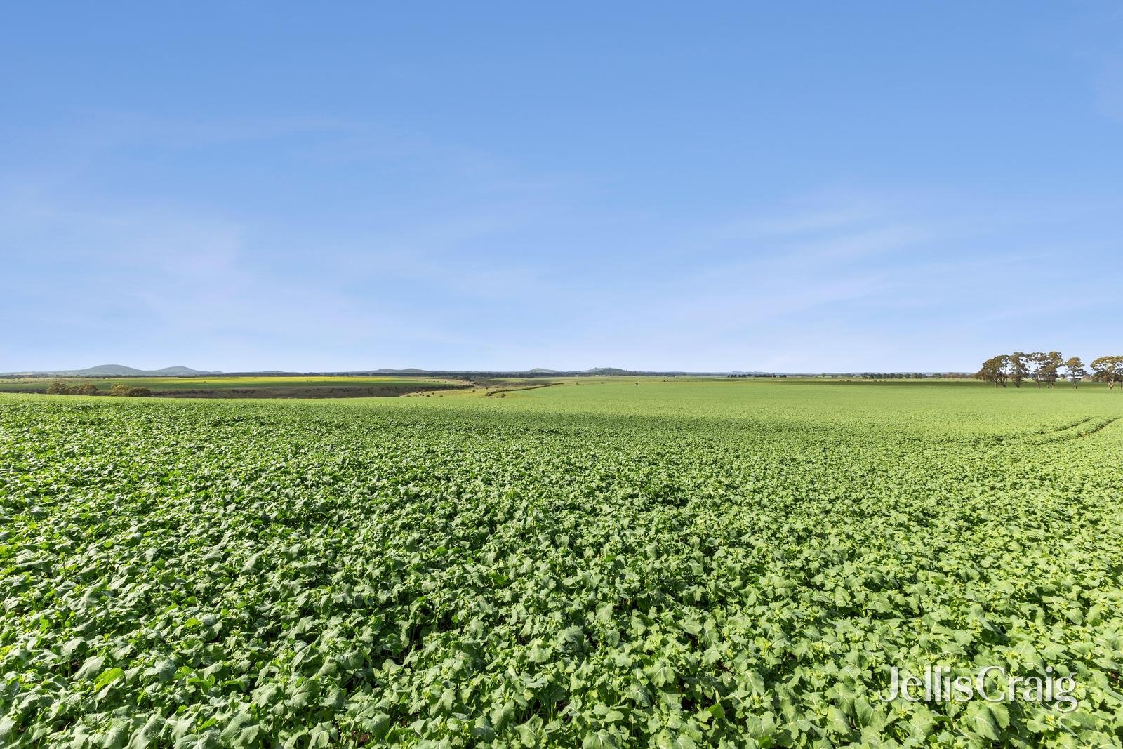 Lot 2/2970 Ballarat Maryborough Road, Clunes image 11