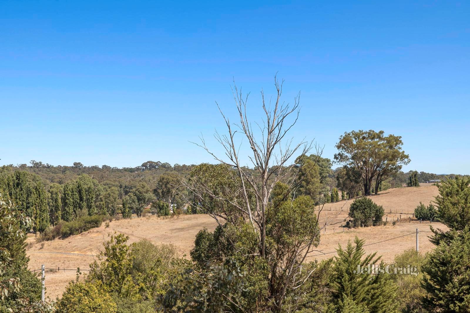 Lot 2/8 Cemetery Road, Campbells Creek image 6