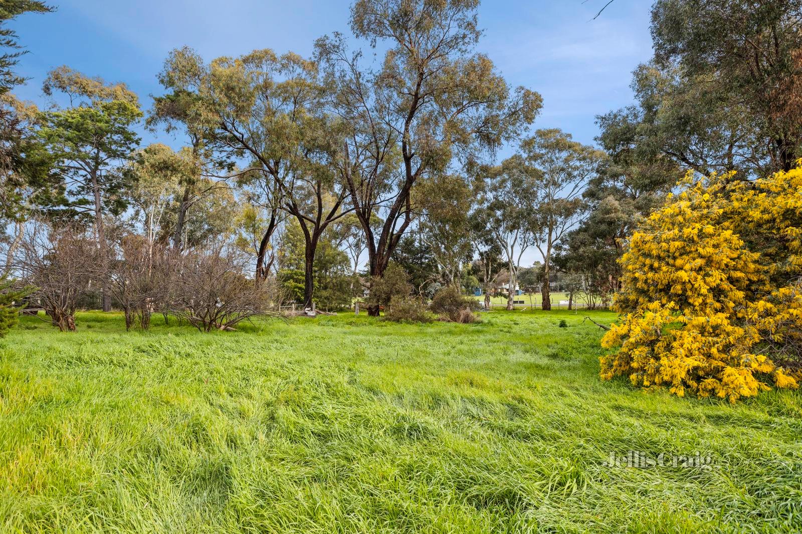 Lot 3, 24 Lot 3, 24 Wyndham Street, Newstead image 5