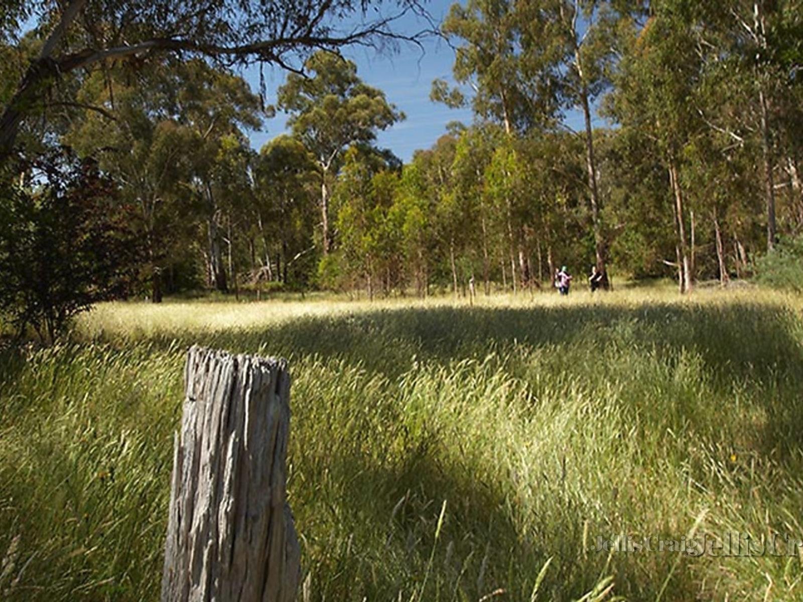 Lot 3 Bursaria Rise, Donvale image 11