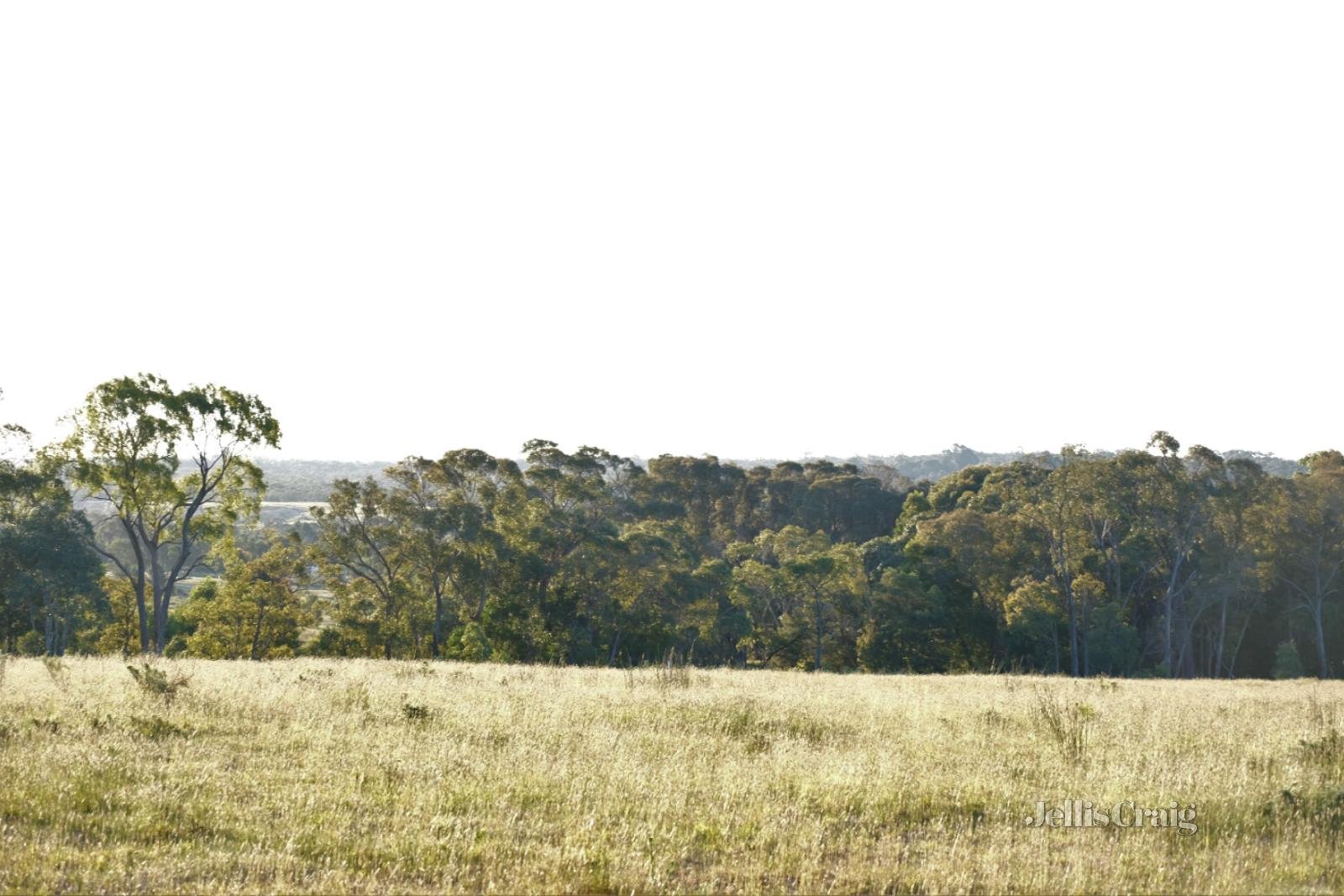 Lot 3 Ross Creek Haddon Road, Smythesdale image 2