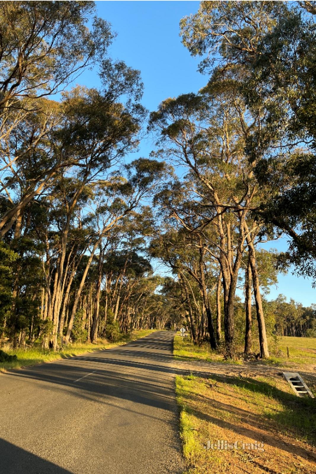 Lot 3 Ross Creek Haddon Road, Smythesdale image 4