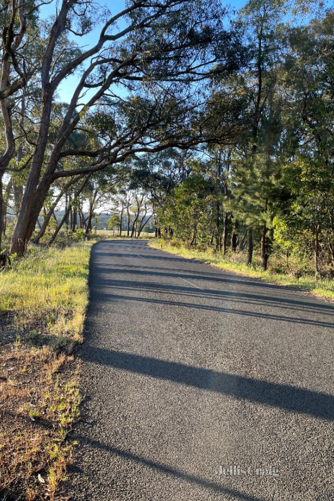 Lot 3 Ross Creek Haddon Road, Smythesdale image 5