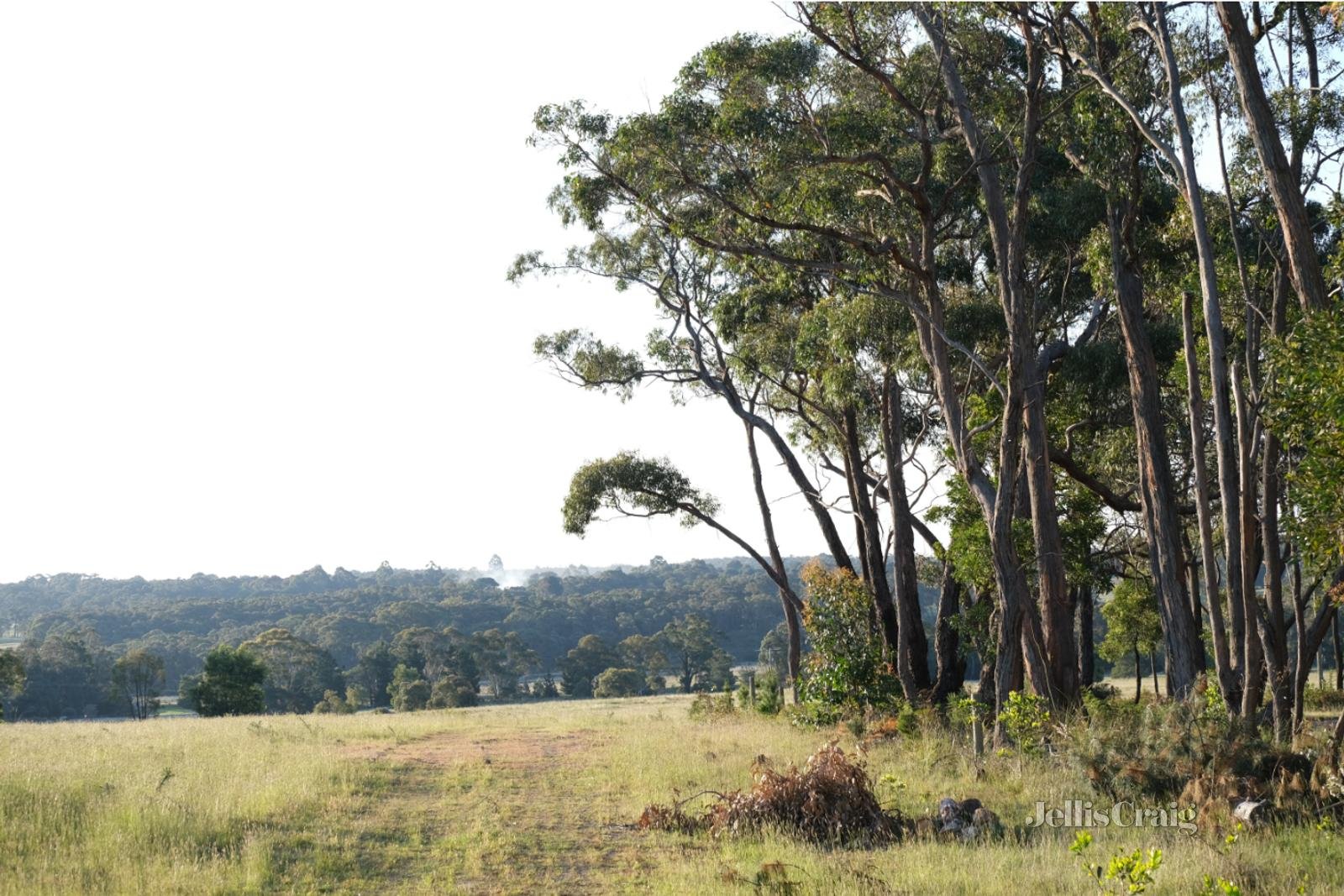 Lot 3 Ross Creek Haddon Road, Smythesdale image 6