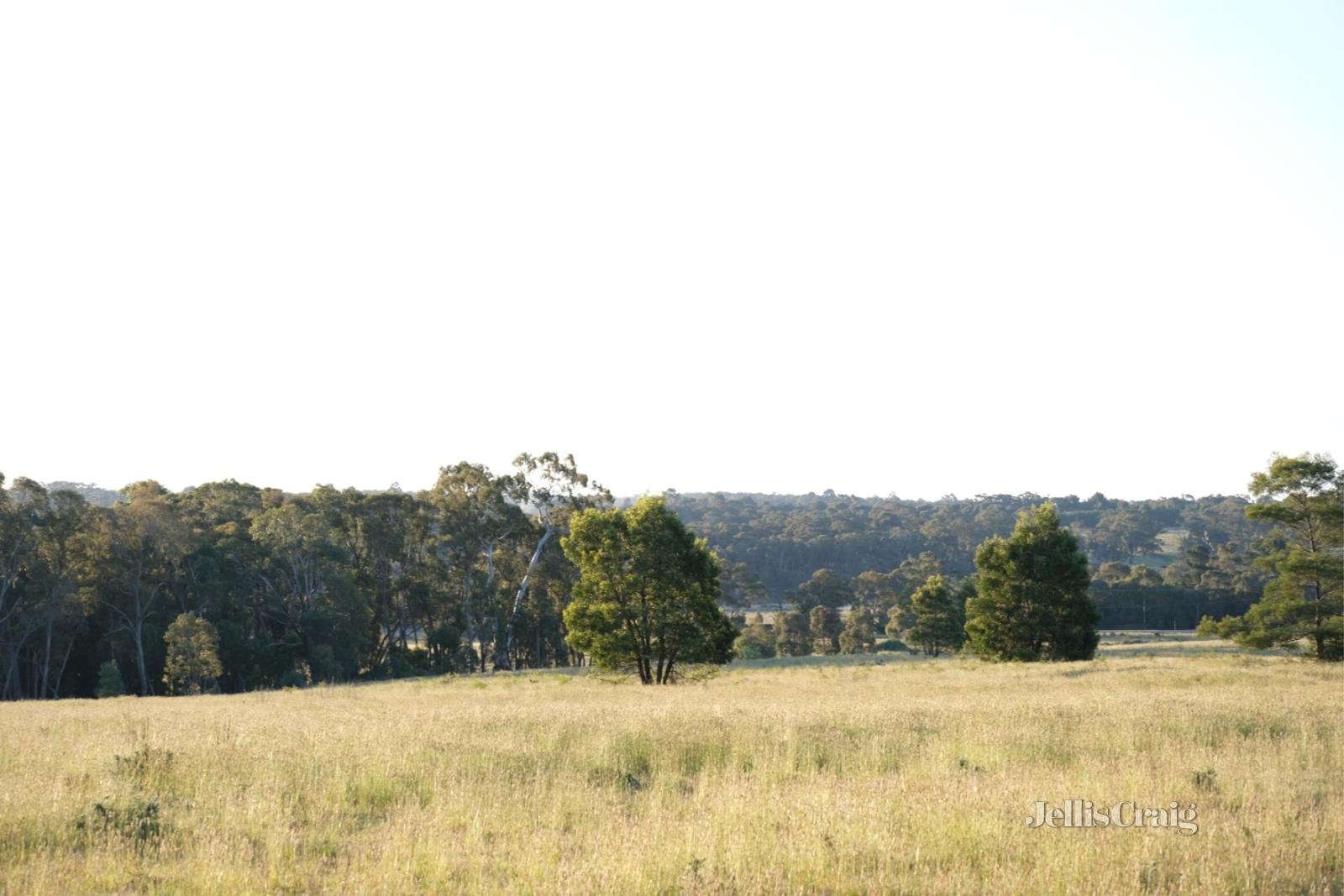 Lot 3 Ross Creek Haddon Road, Smythesdale image 7