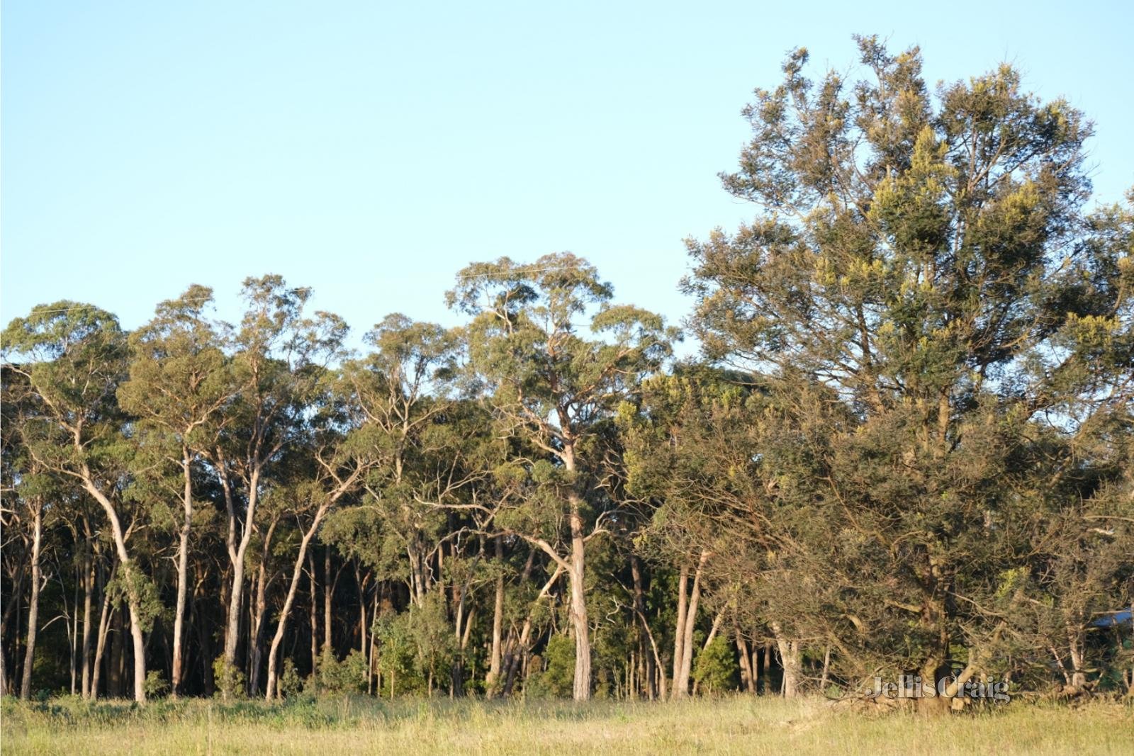 Lot 3 Ross Creek Haddon Road, Smythesdale image 8