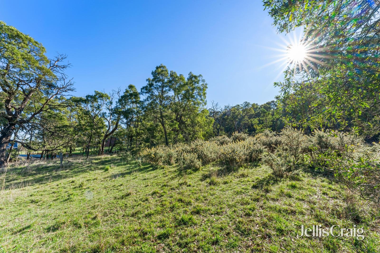 Lot 3 Silverwattle Drive, Invermay image 4