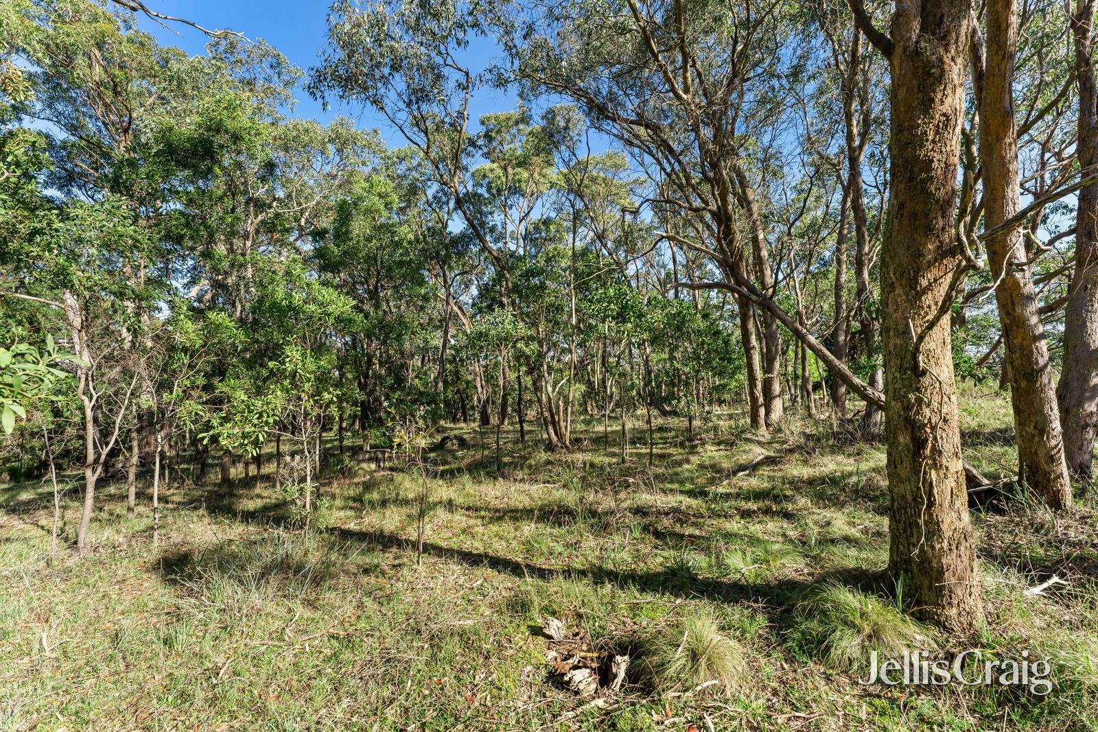 Lot 3 Silverwattle Drive, Invermay image 6