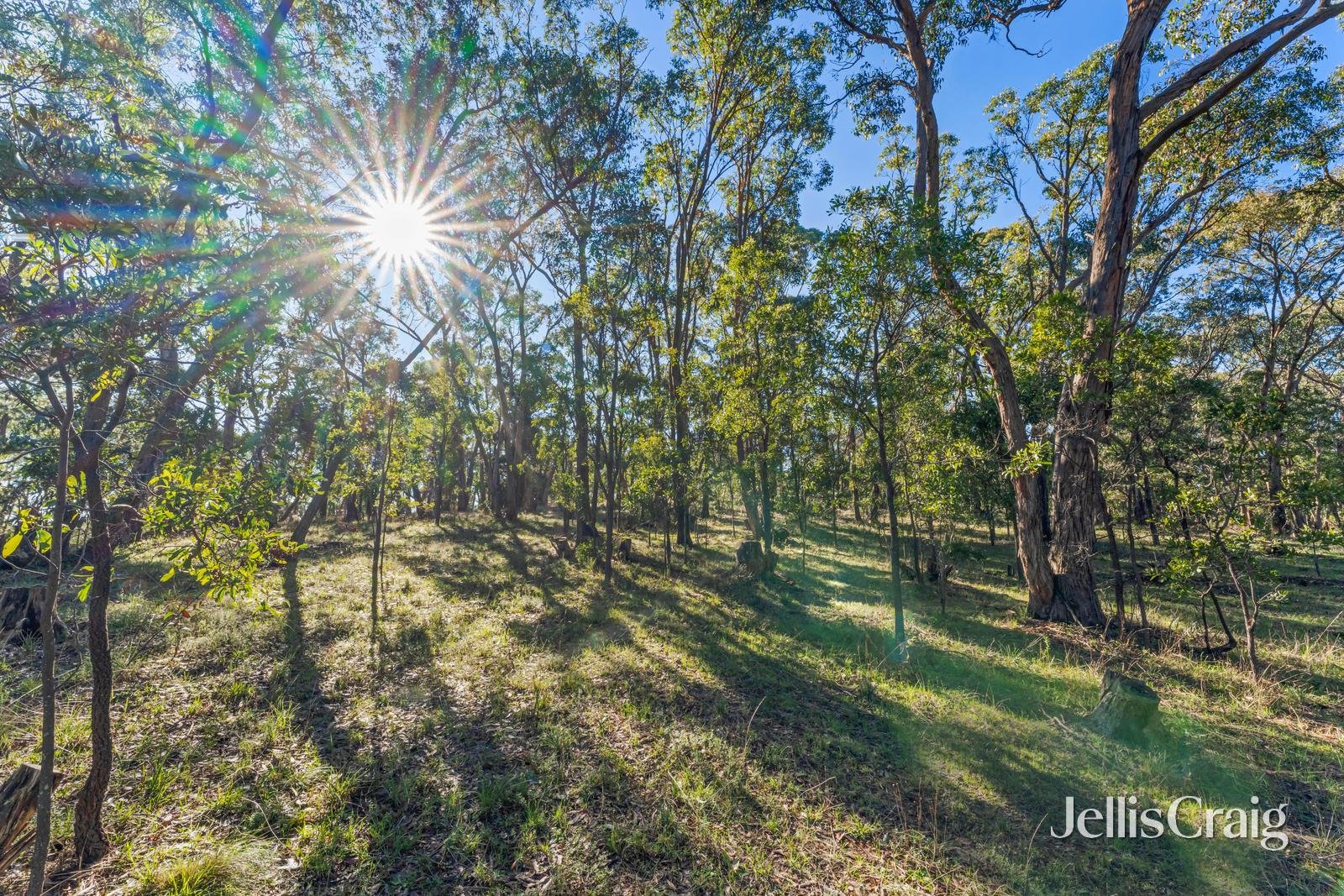 Lot 3 Silverwattle Drive, Invermay image 9
