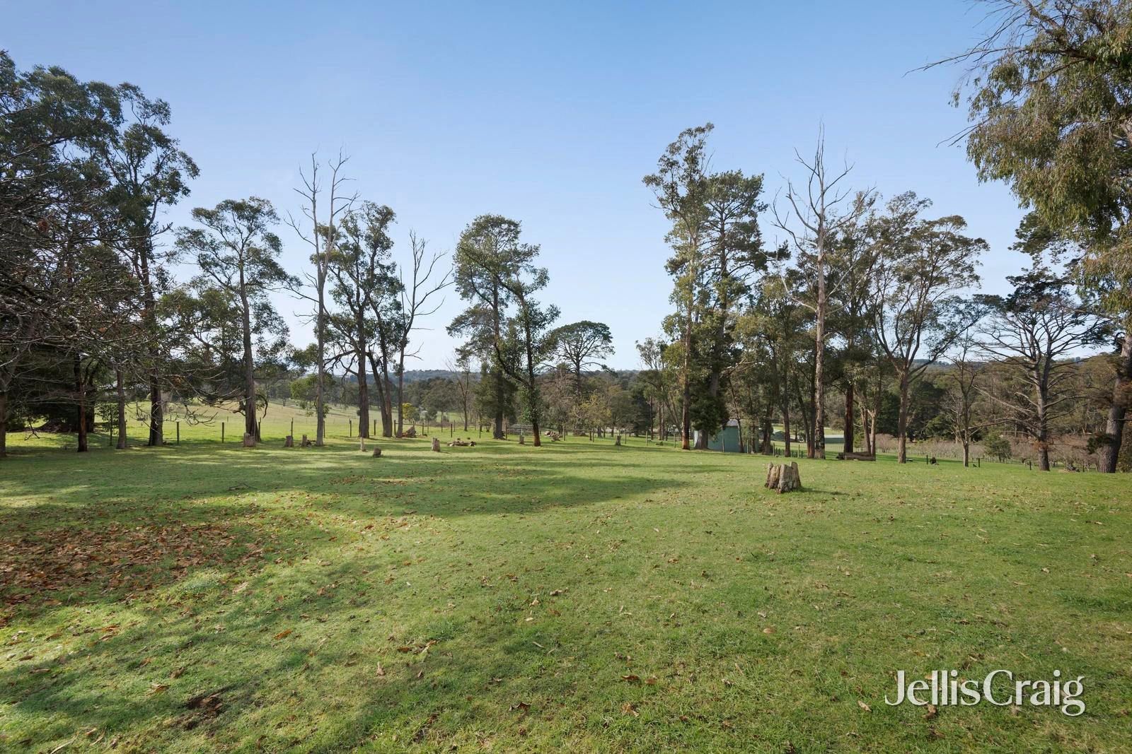 Lot 3/145 Bailey Road, Mount&nbsp;Evelyn image 3
