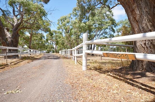 LOT 35 Crosier Road, Happy Valley image 3