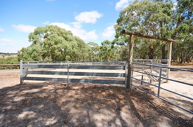 LOT 35 Crosier Road, Happy Valley image 15