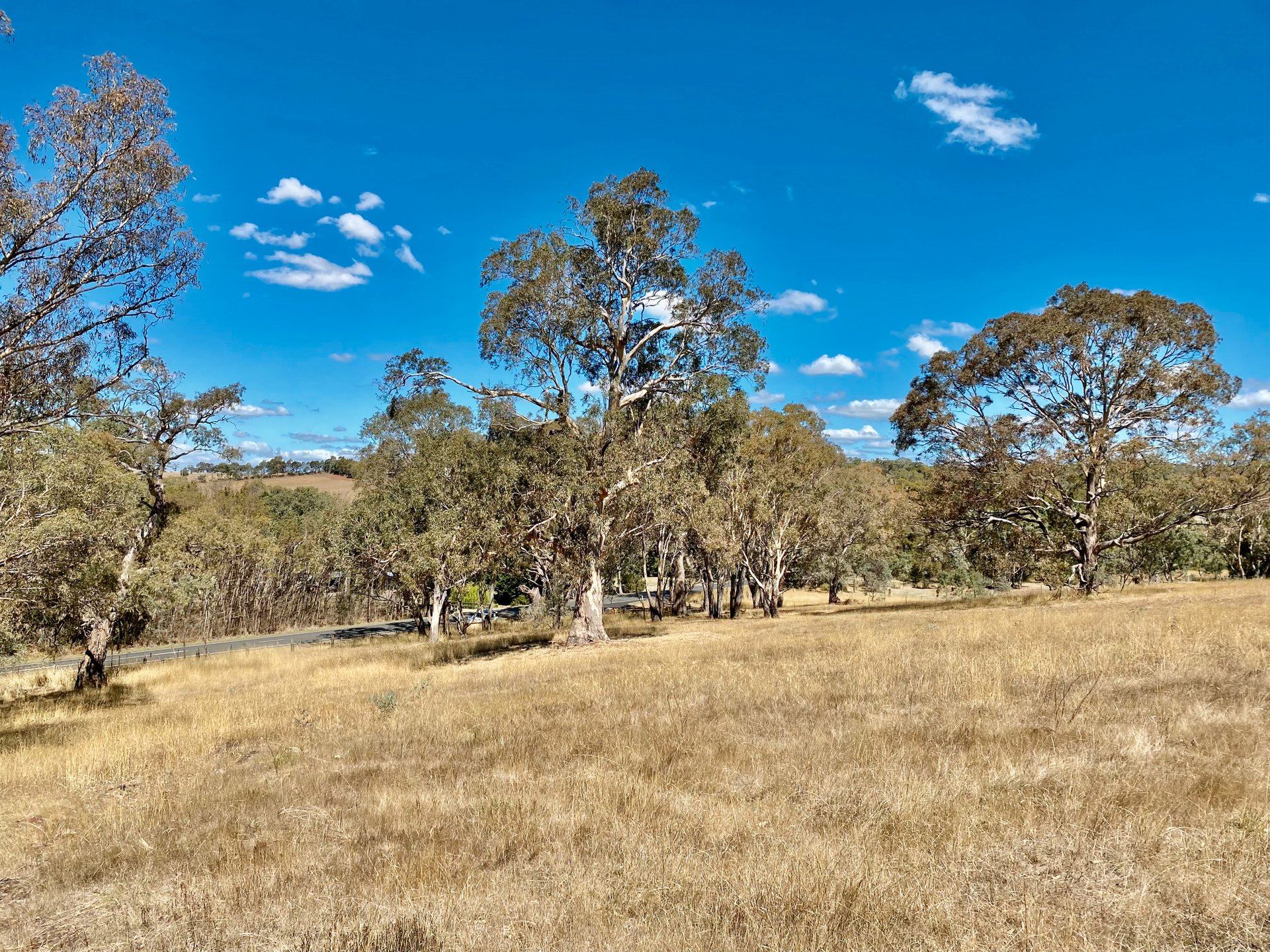 Lot 4 Lot 4 Heathcote Redesdale Road, Mia&nbsp;Mia image 3