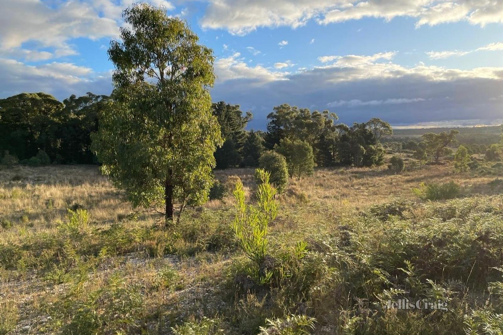 Lot 4 Ross Creek Haddon Road, Smythesdale, VIC 3351 Land for Sale